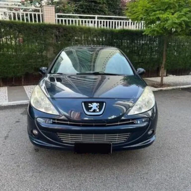 PEUGEOT 307 1