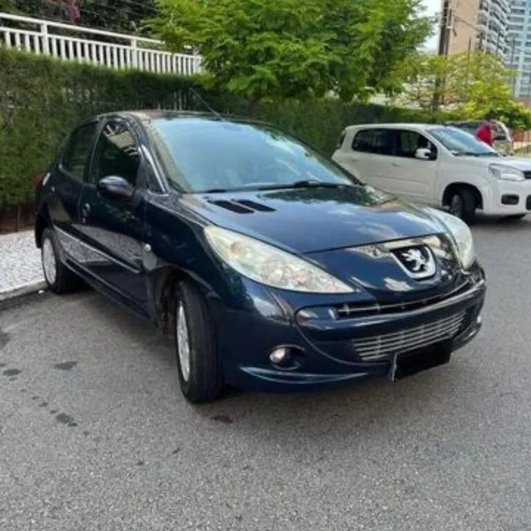 PEUGEOT 307 2